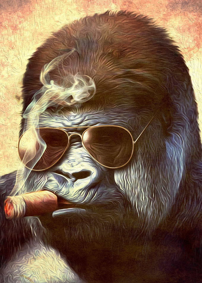 Gorilla Through the Mist