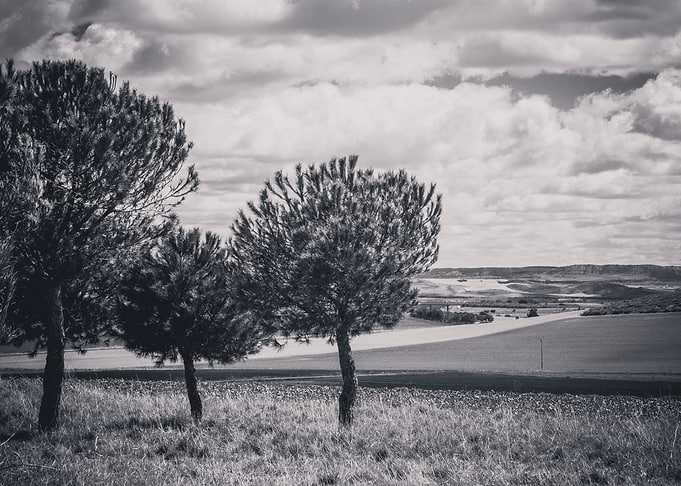 Landscape in Spain