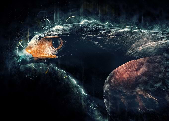 Eagle