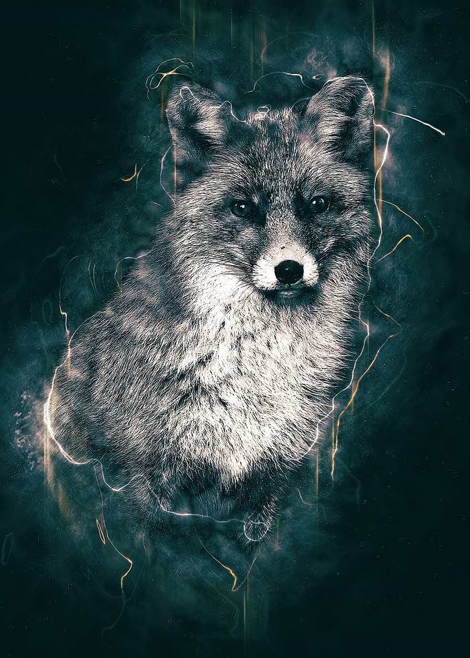 Electro Fox