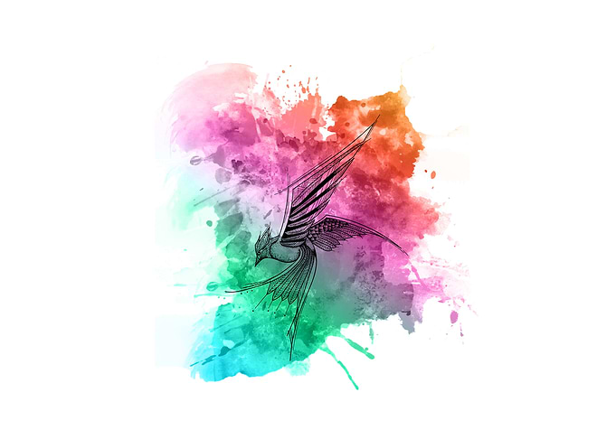 Freedom Bird