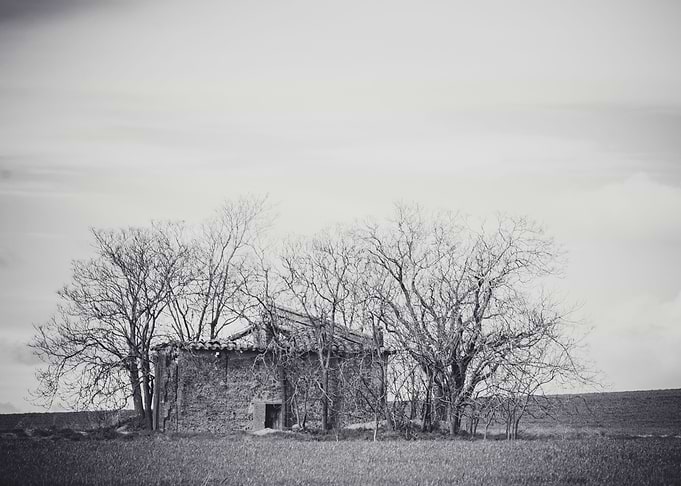 Abandoned aviary