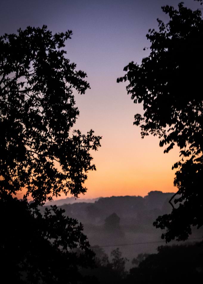Autumn View