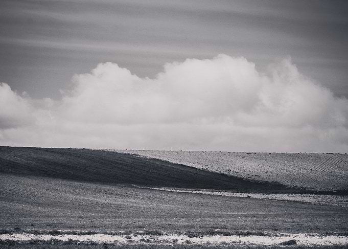 Spring landscape