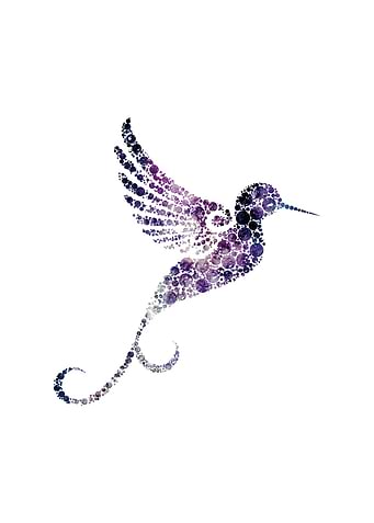 Space hummingbird