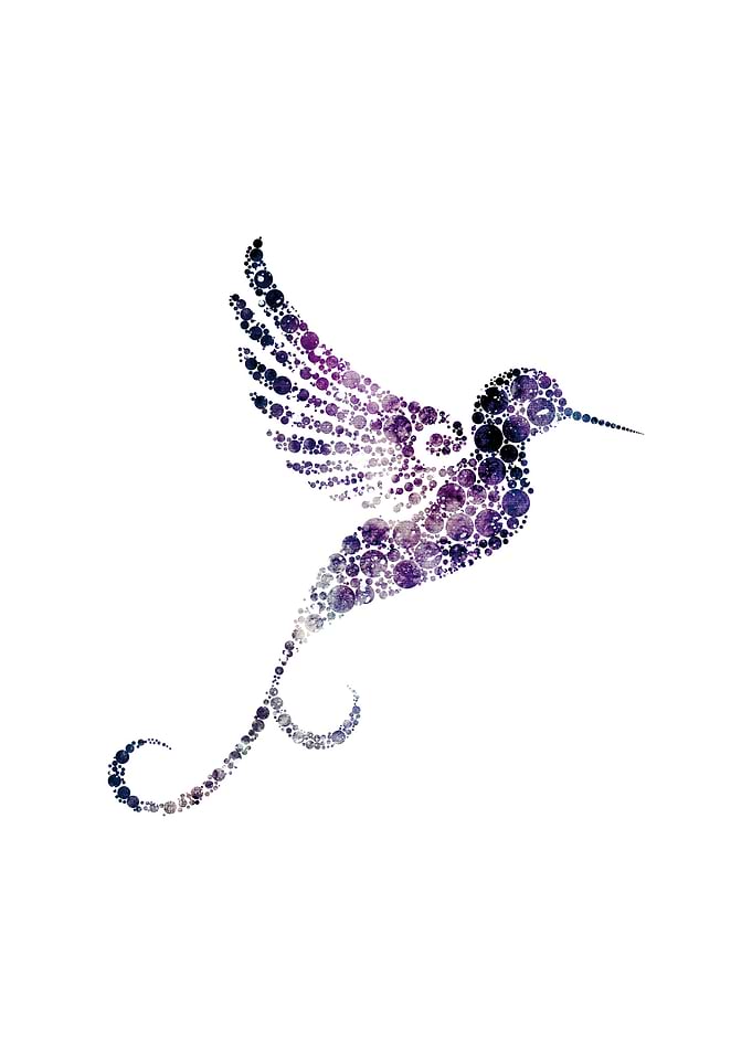 Space hummingbird