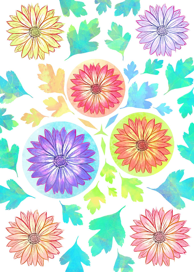 Gerbera Daisy Flowers