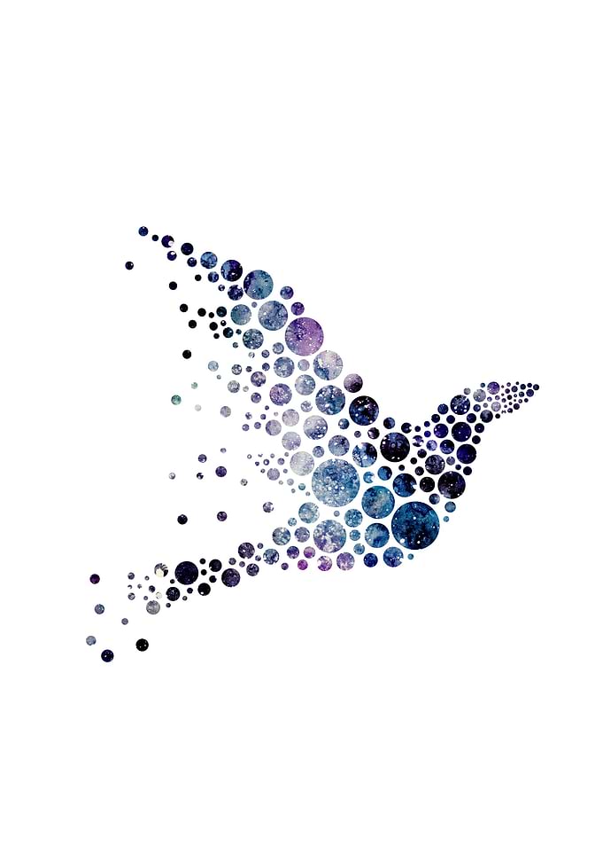 Space bird
