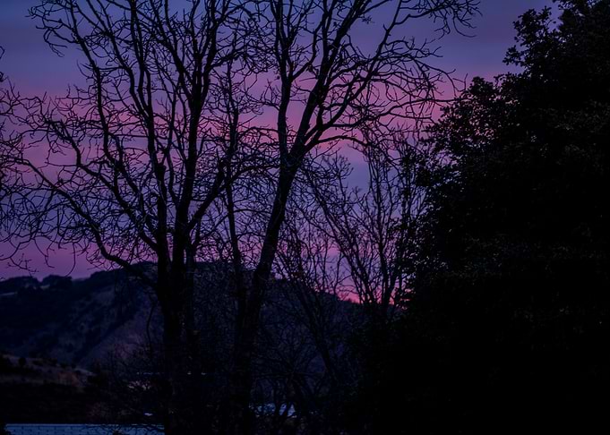 Backyard view