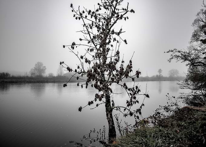 Madness of mist