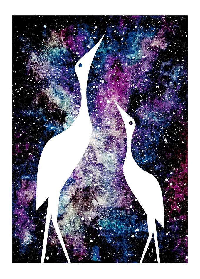 Space flamingos
