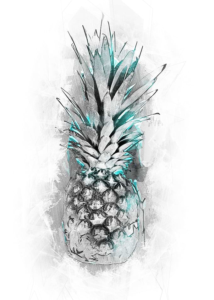 The pineapple