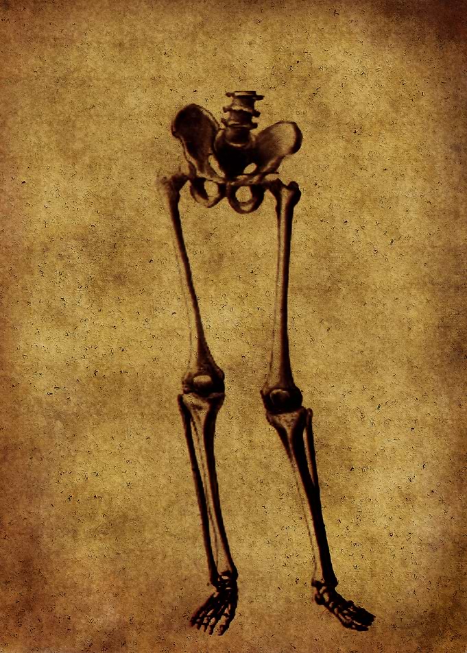 Anatomic102