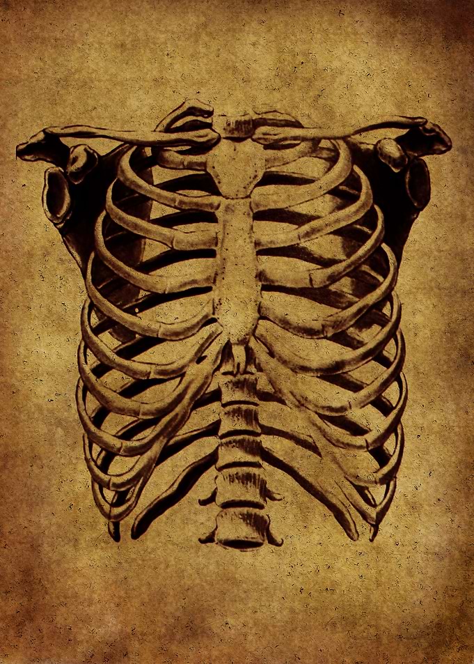 Anatomic101