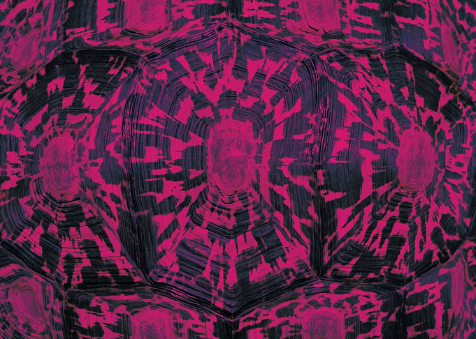 Pattern black pink