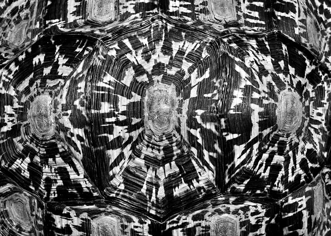 Pattern black white