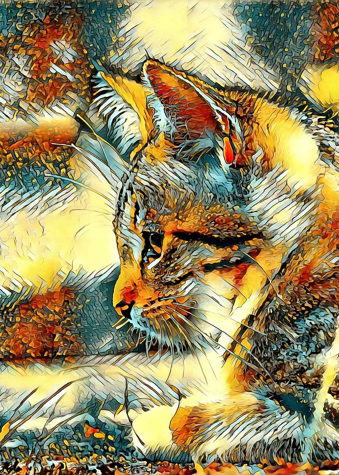 AnimalArt Cat 001