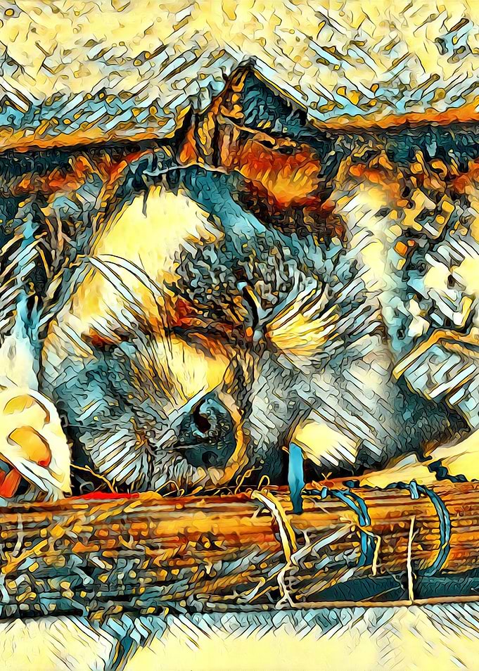AnimalArt Dog 001