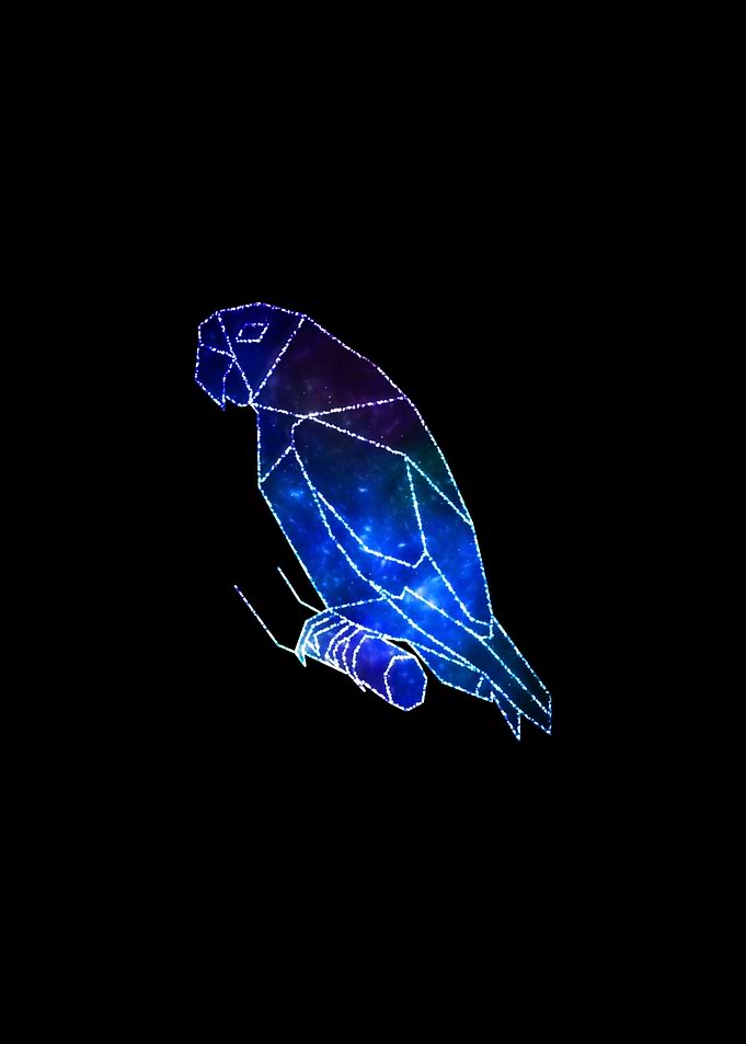Parrot