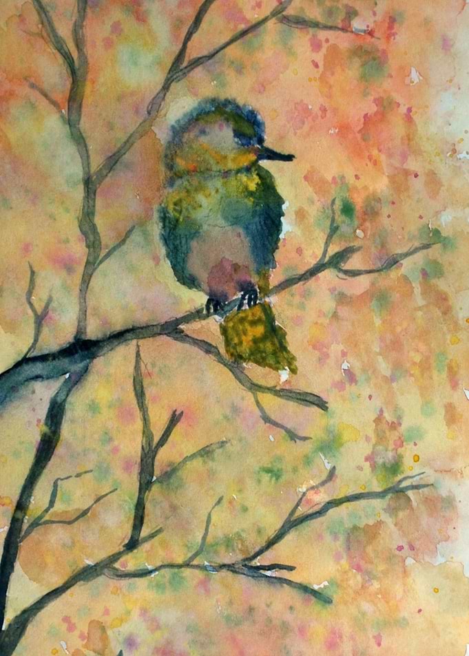 Little Bird