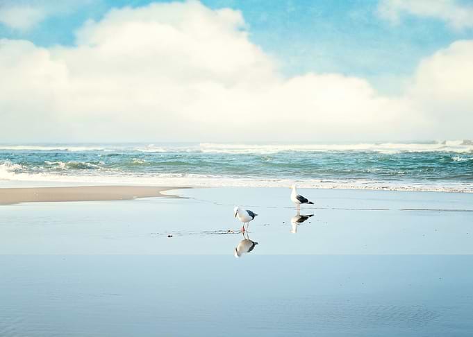 ocean reflections