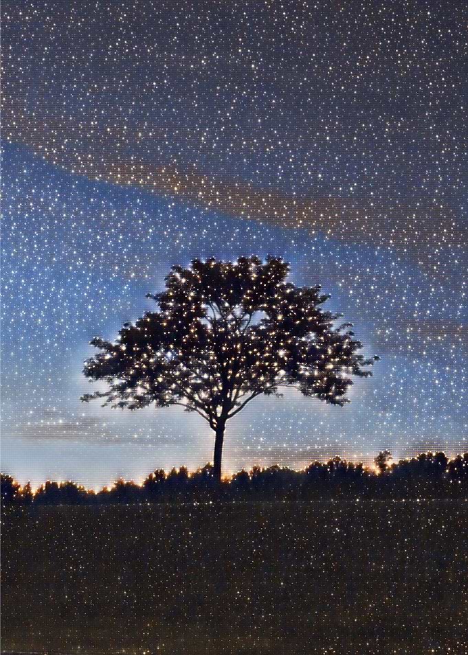 Stars in the leaves