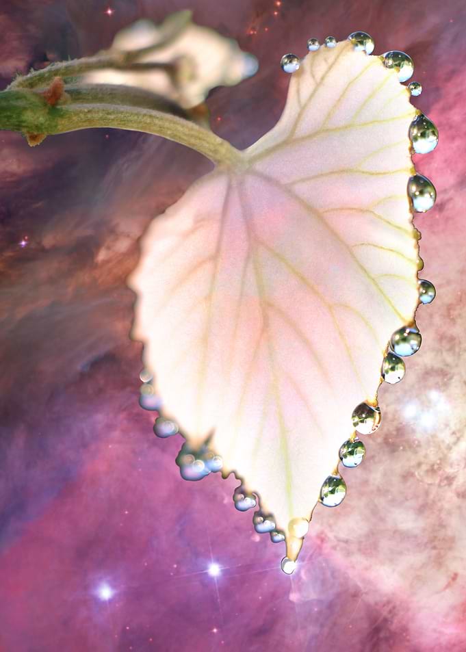 Cosmic dew