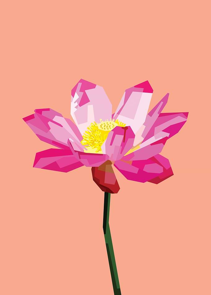 Lotus