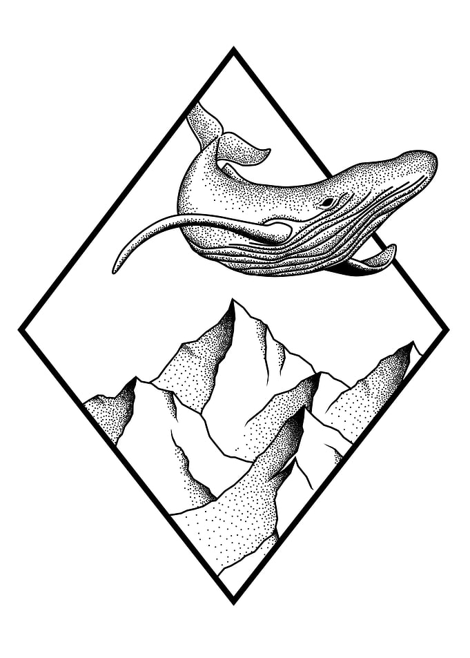 whale flying