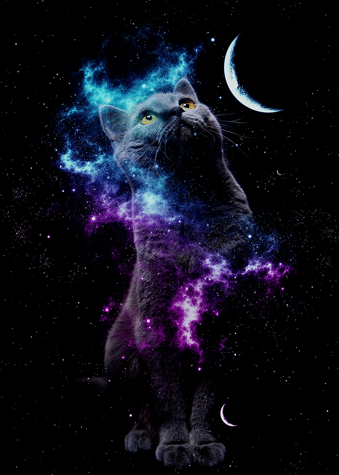 Cat Galaxy 2
