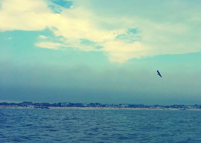 Boat Rides and Scenic Days