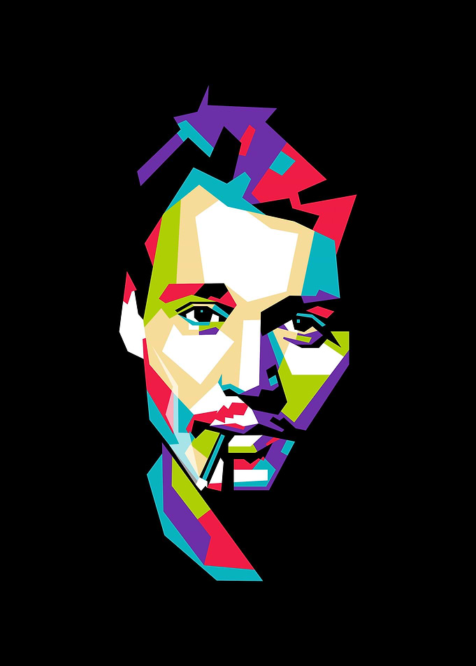 Robert Downey JR