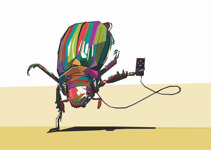 Bugs love in the music