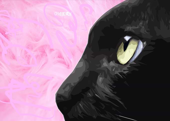 Big Cat