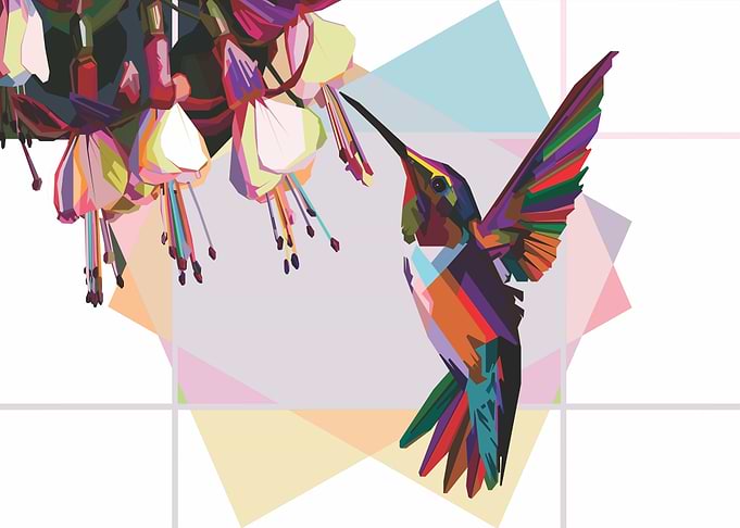 Humingbird popart