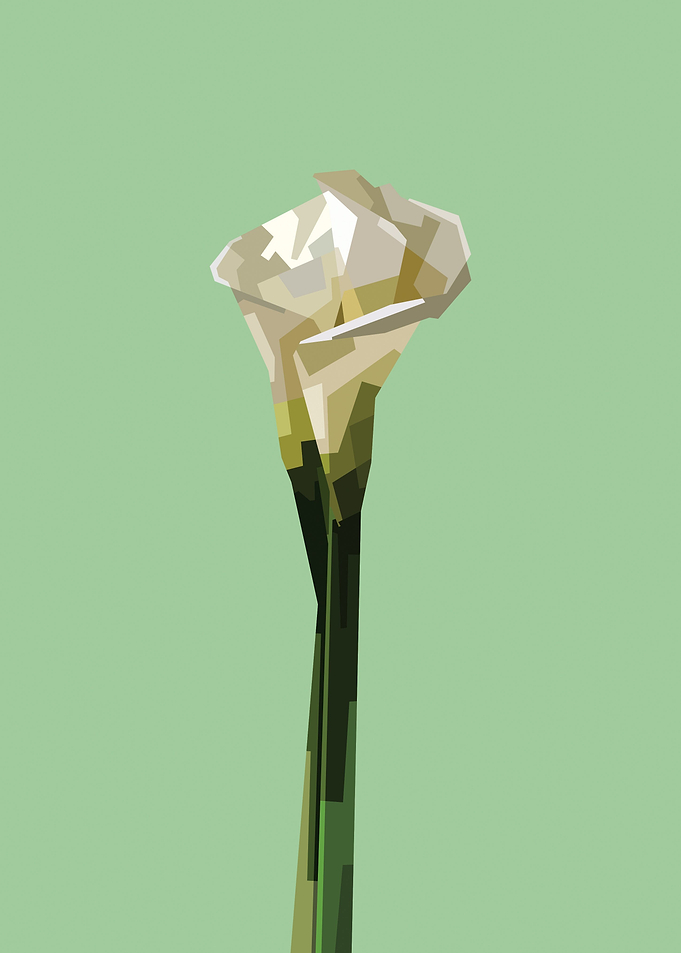 Lily