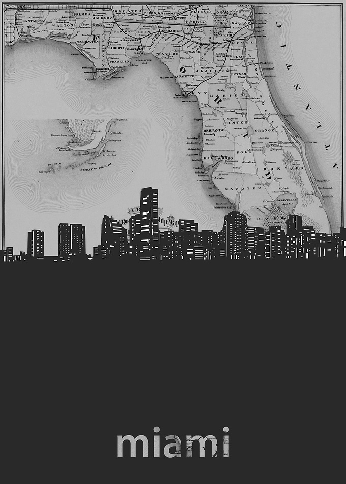 Miami skyline grey