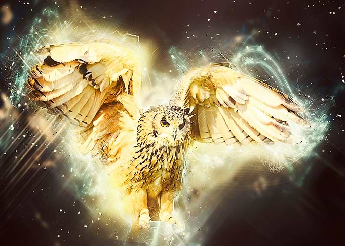 Golden Owl