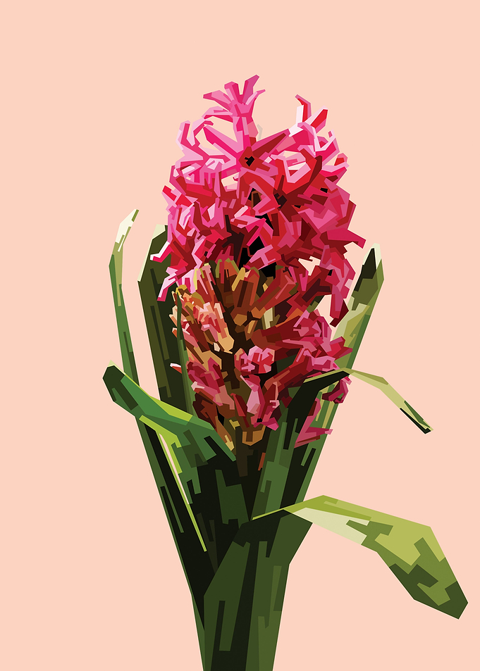 Hyacinth