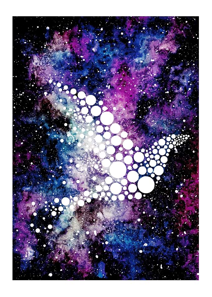 Space bird