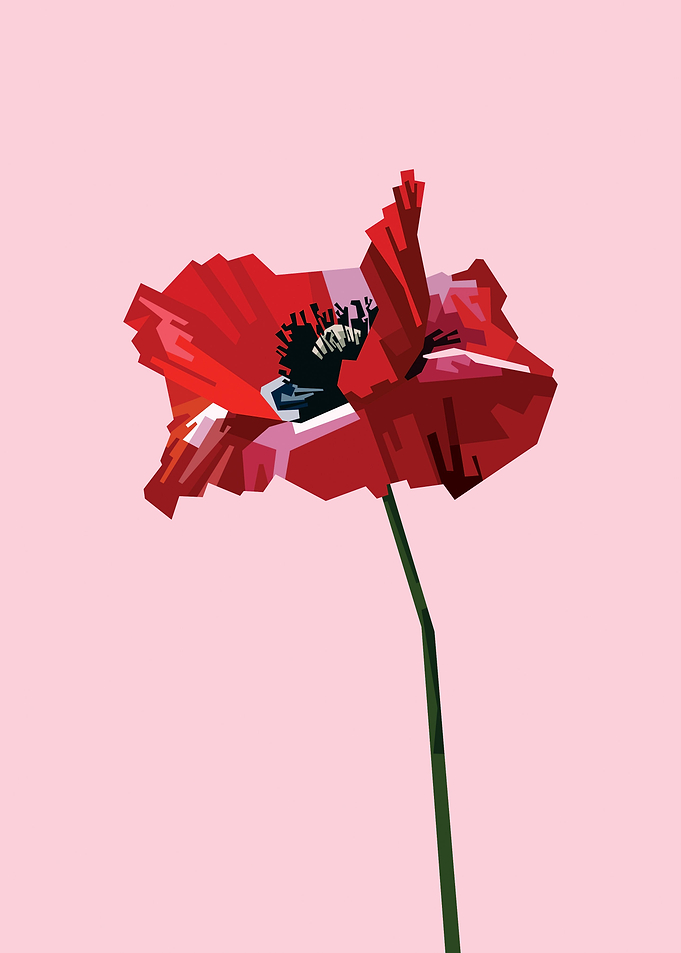 Poppy