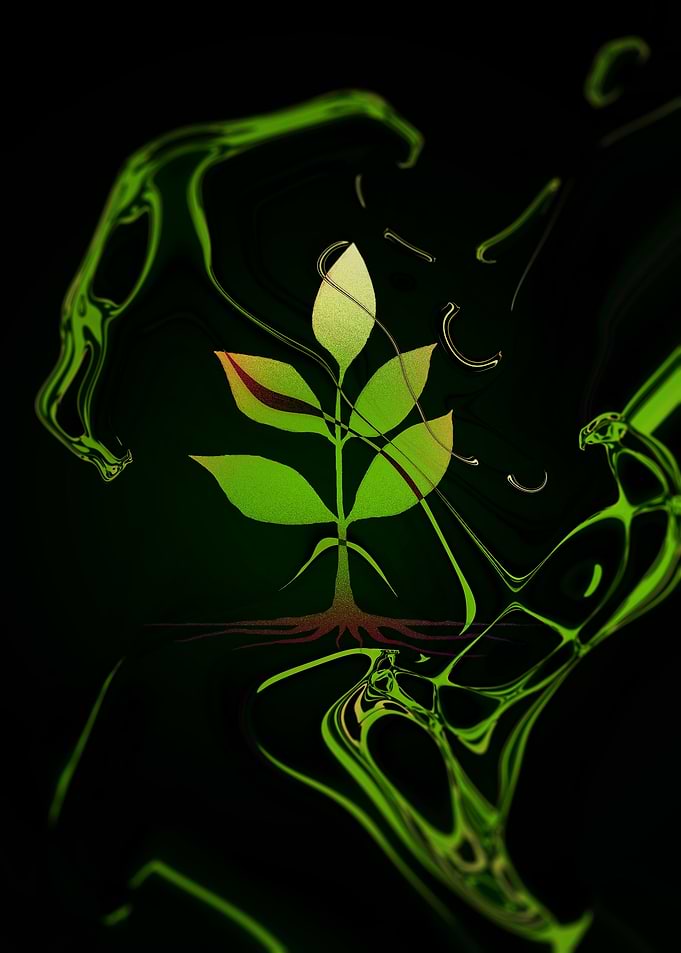 Plant