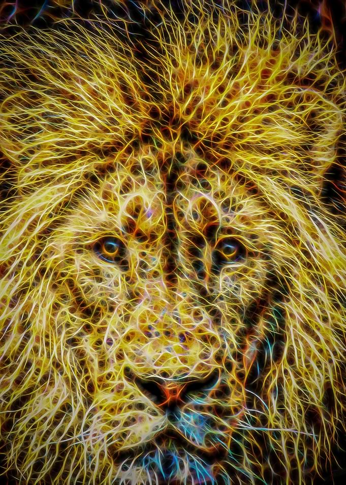 Glow Lion