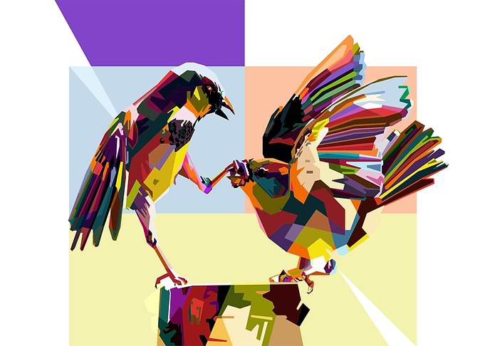 Collorfull bird popart