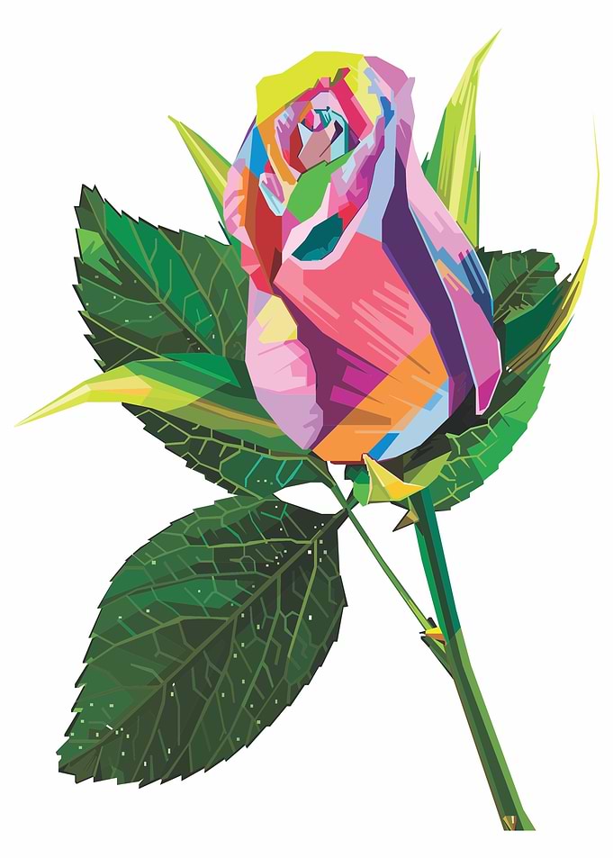 Rose flowers popart
