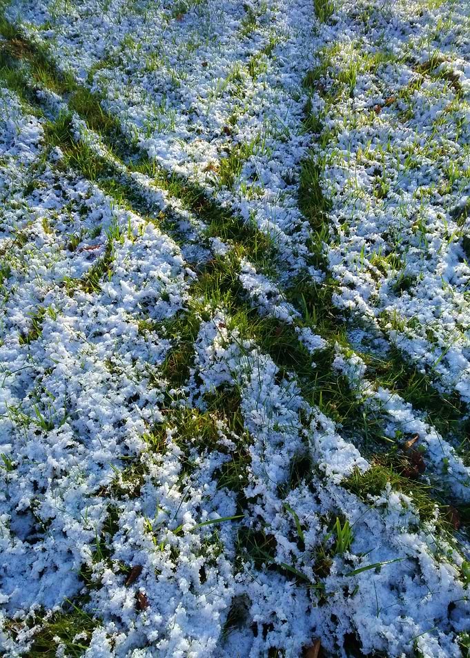 Snow on the green