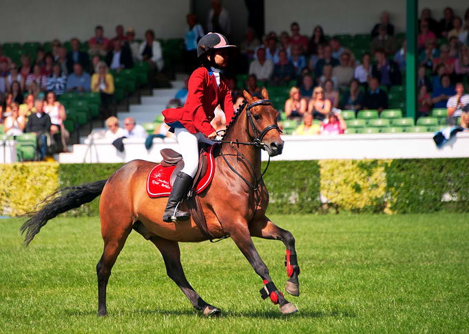 Horse show