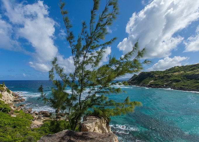 Corbens Bay