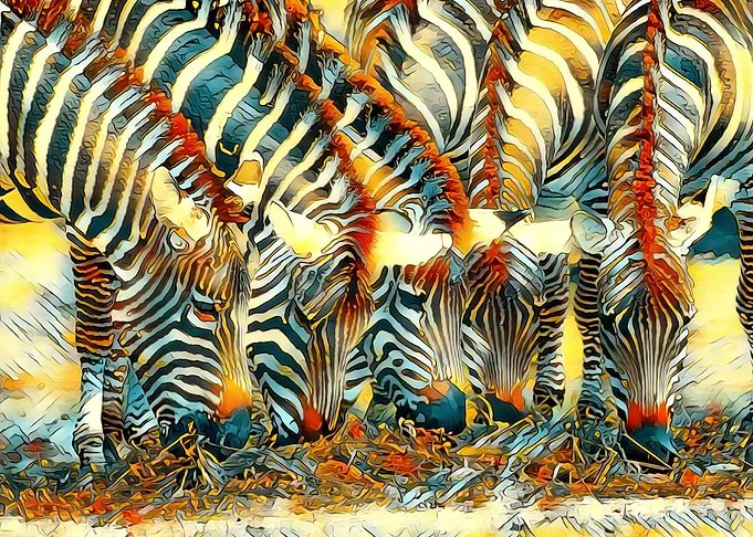 AnimalArt Zebra 002