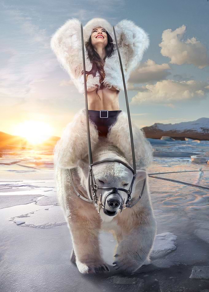 Polar Express
